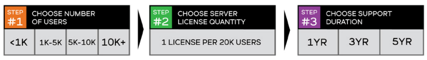 Perpetual License